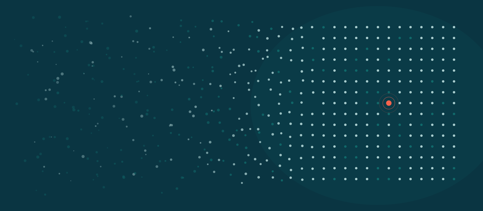 From AI Adoption to AI Capability